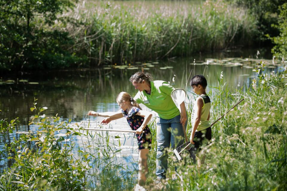 IVN-vrijwilliger en kinderen scheppen waterdiertjes bij sloot