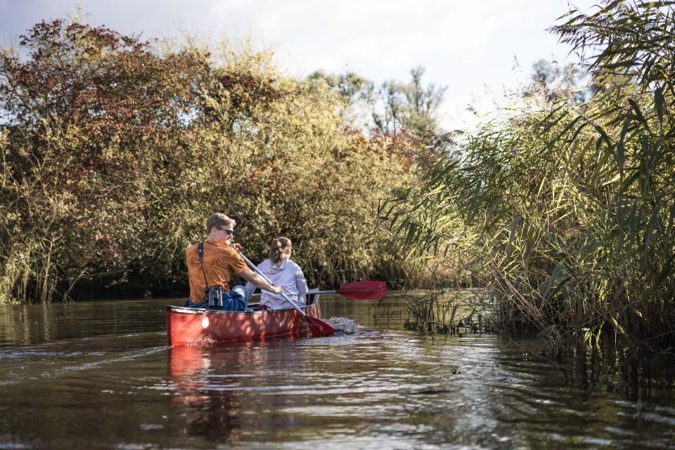 Kanovaren in de Biesbosch